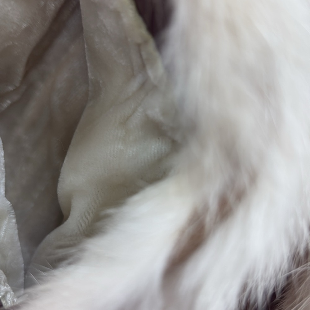 Saga vintage genuine Fox Fur - Picture 8 of 9